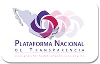 Página de Consulta Pública INAI