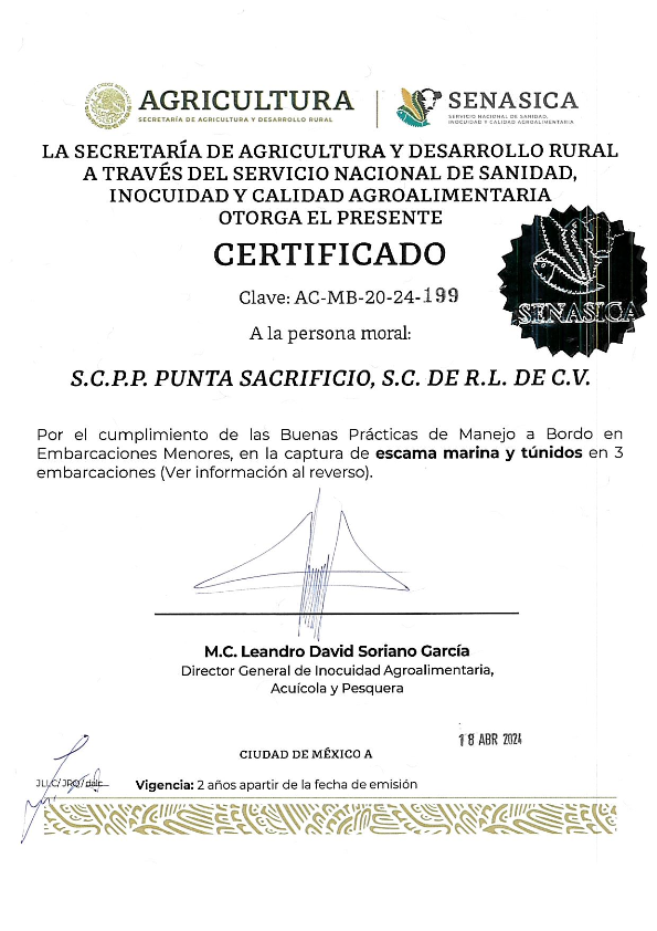 Investigación Aplicada