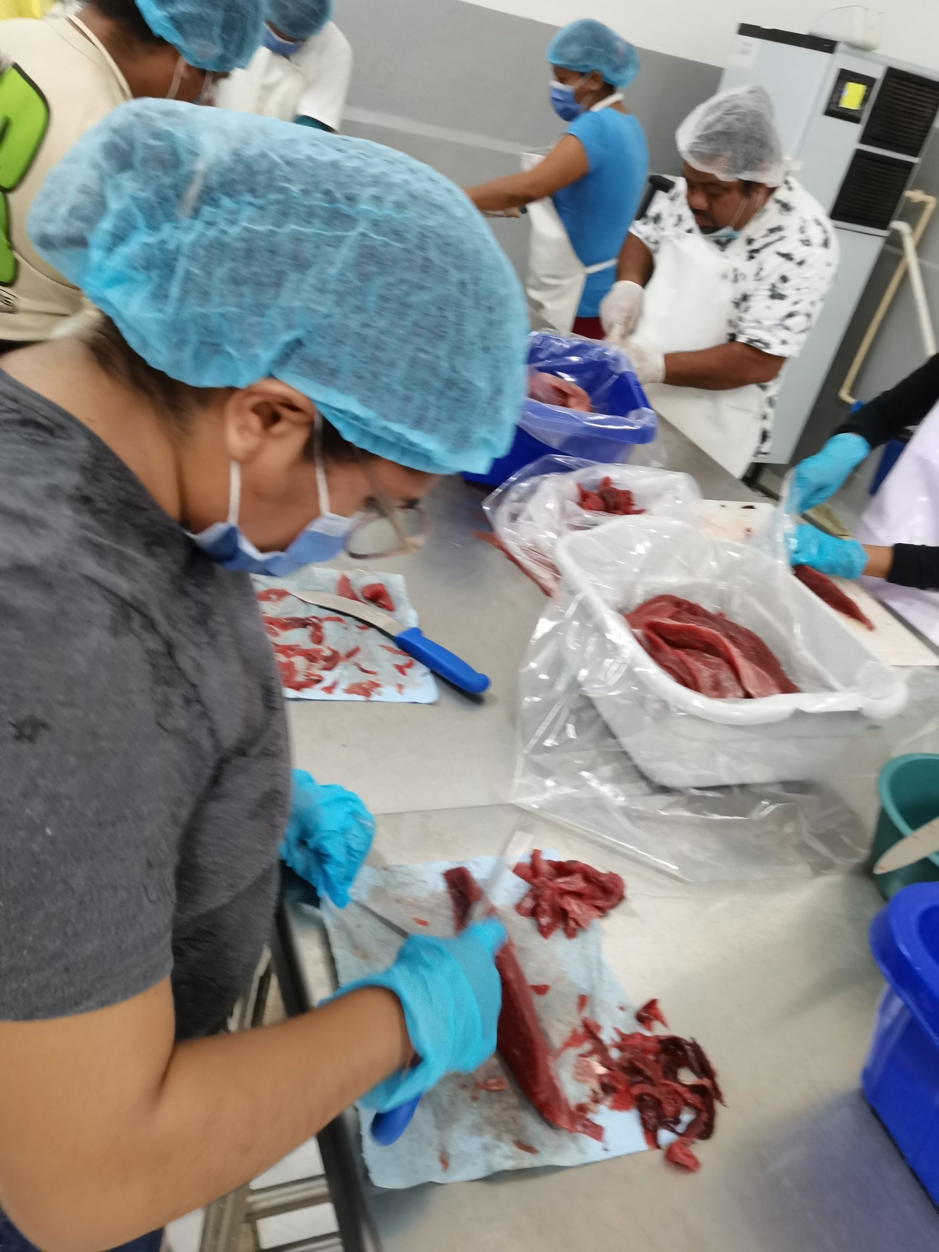 Innovación Pesquera